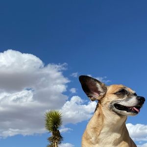 Meet your Posher, Osbel